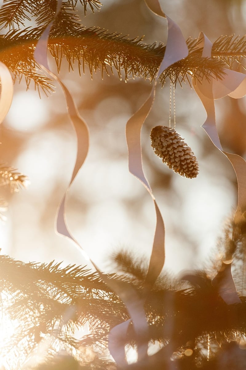 Pine Cone Fire Starters
